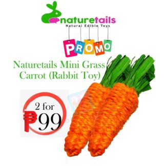 Naturetails Small Pet Rabbit Toy Mini Grass Carrot,PROMO