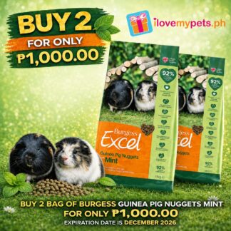 Burgess Excel Adult Guinea Pig Nuggets Mint, Made in UK, Original Packaging (Buy 2 1.5kg bag for 1,000.00 pesos only)