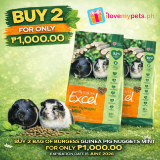 Burgess Excel Adult Guinea Pig Nuggets Mint, Made in UK, Original Packaging (Buy 2 1.5kg bag for 1,200.00 pesos only)