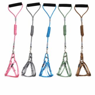 Heavy Duty Harness with Leash Pastel Colors Random